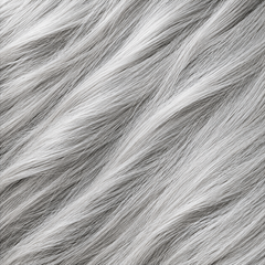 Gray / White