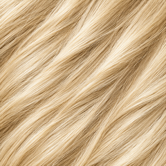 Light Blonde
